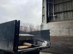 Costs of junk removal services in Harford County, Maryland – One Ten Junk Removal
